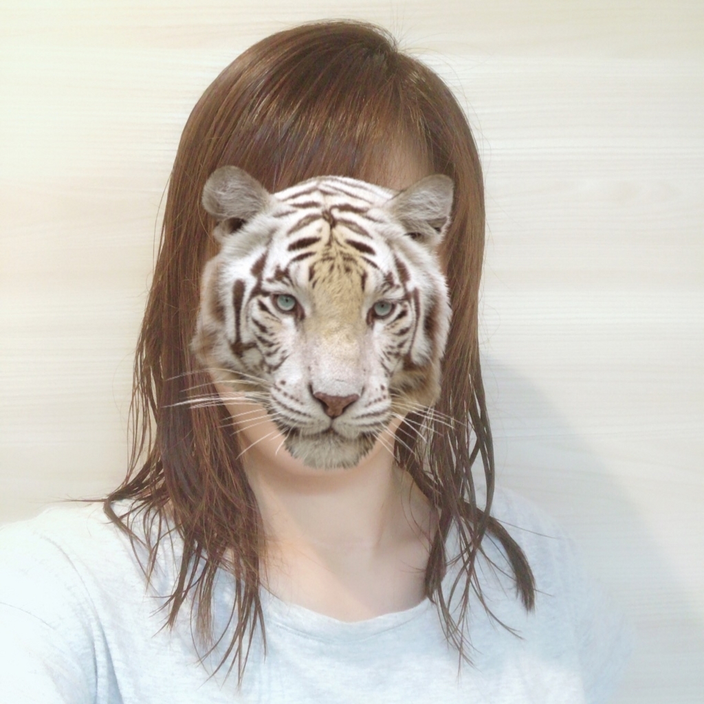 f:id:cocokirei:20180614191837j:plain