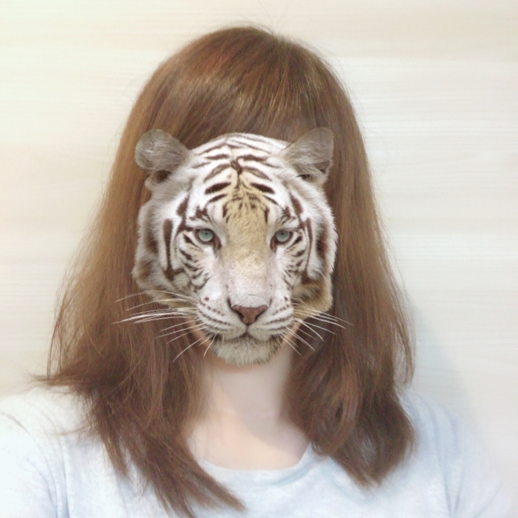 f:id:cocokirei:20180614192638j:plain