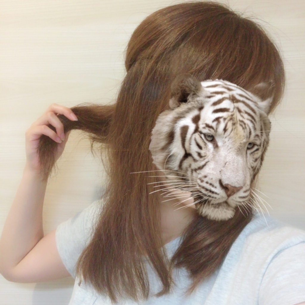 f:id:cocokirei:20180614193548j:plain