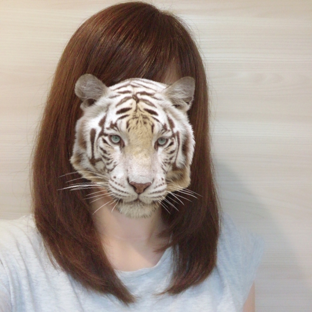 f:id:cocokirei:20180614194334j:plain