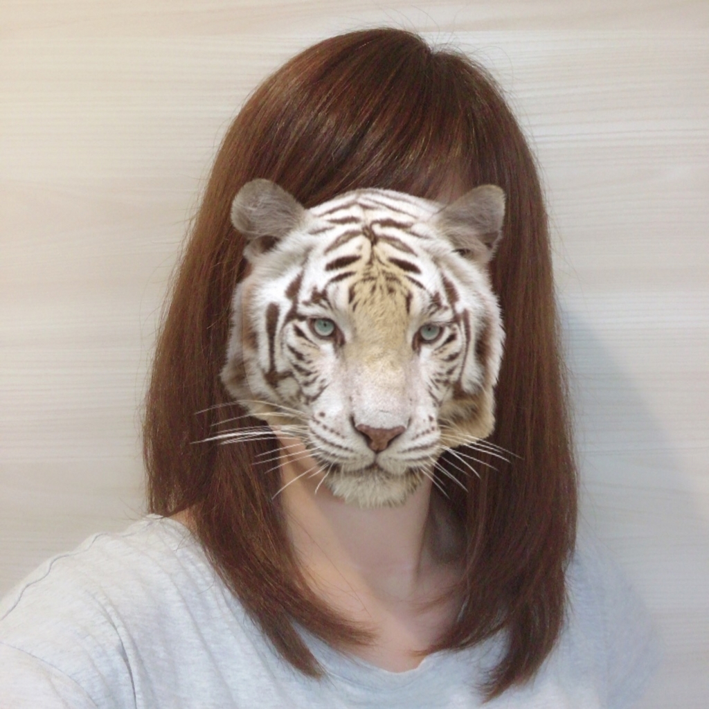 f:id:cocokirei:20180614194639j:plain