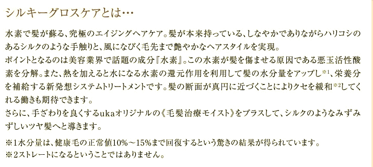 f:id:cocokirei:20180727051827p:plain