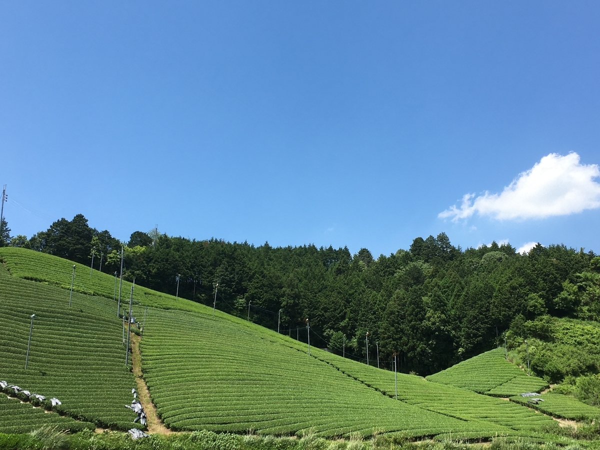f:id:cocokyoto:20210620161506j:plain