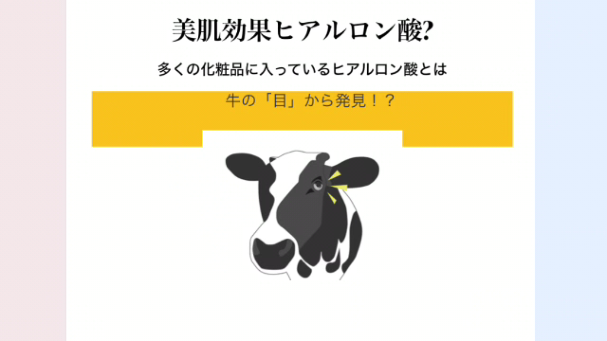 f:id:cocolchehan:20210522091723p:plain