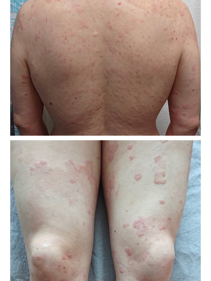 f:id:cocolchehan:20210814114832j:plain