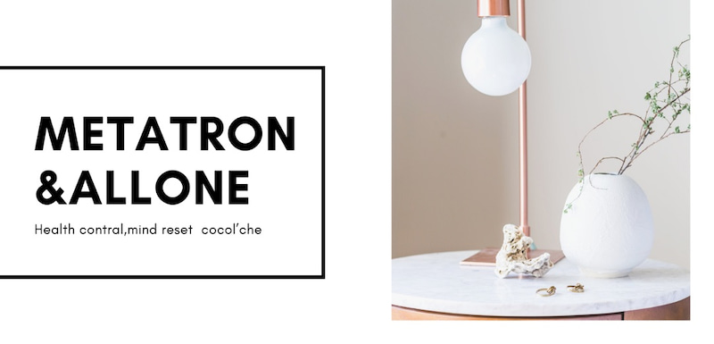 f:id:cocolchehan:20210814115325j:plain