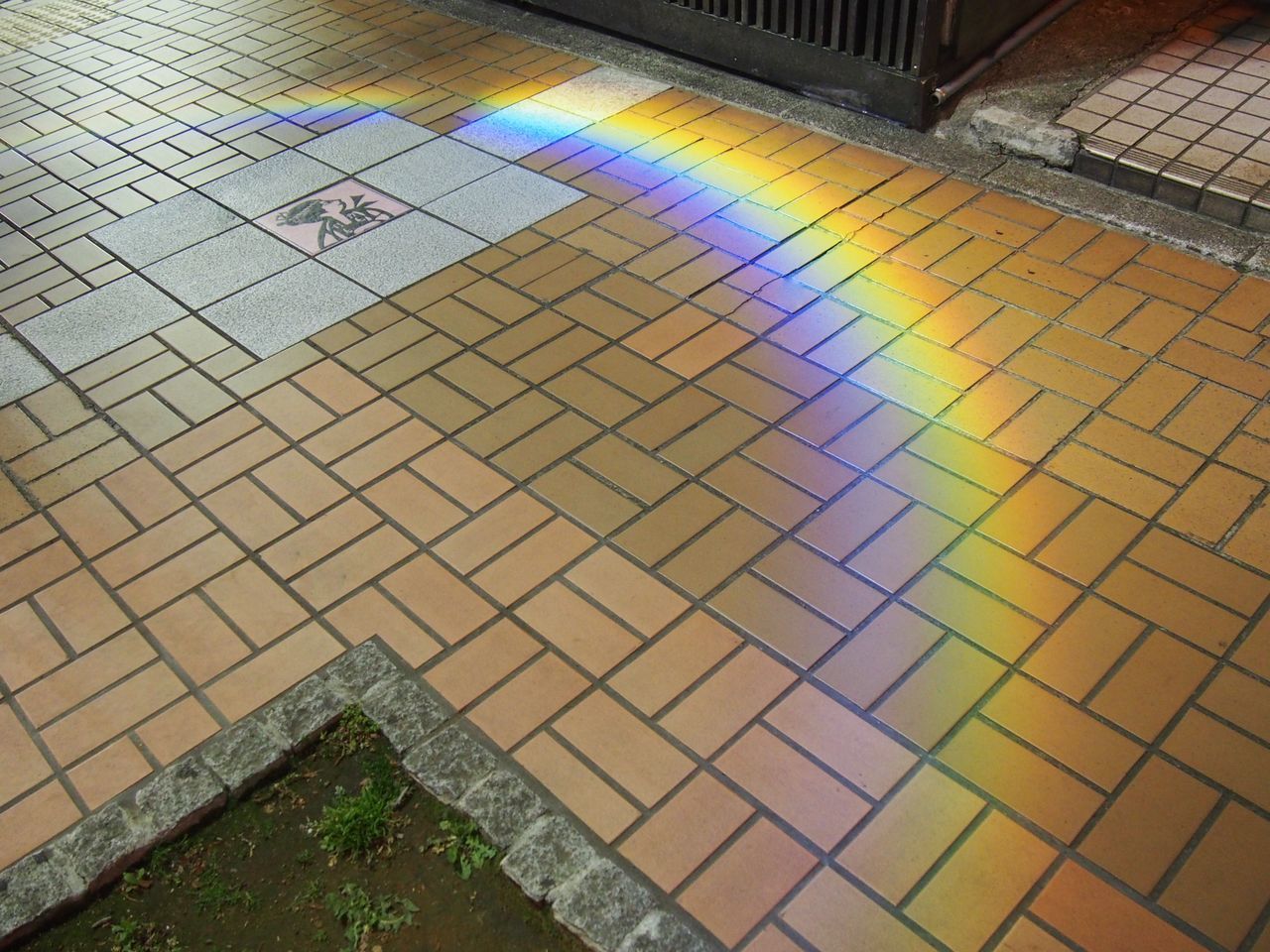 f:id:cocolochiba:20190507111407j:plain