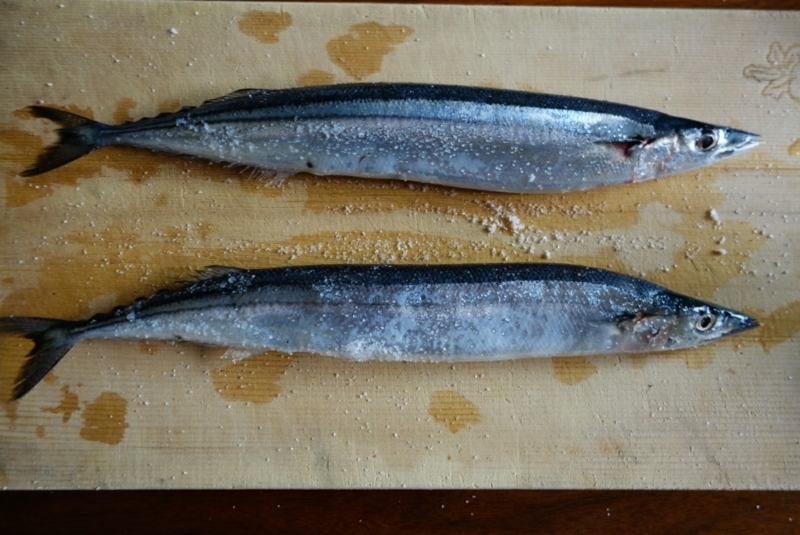 f:id:cocolog-nifty:20171021162054j:plain f:id:cocolog-nifty:20171021162054j:plain