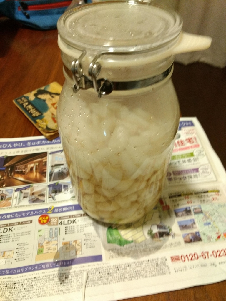 f:id:cocolog-nifty:20181231131842j:plain