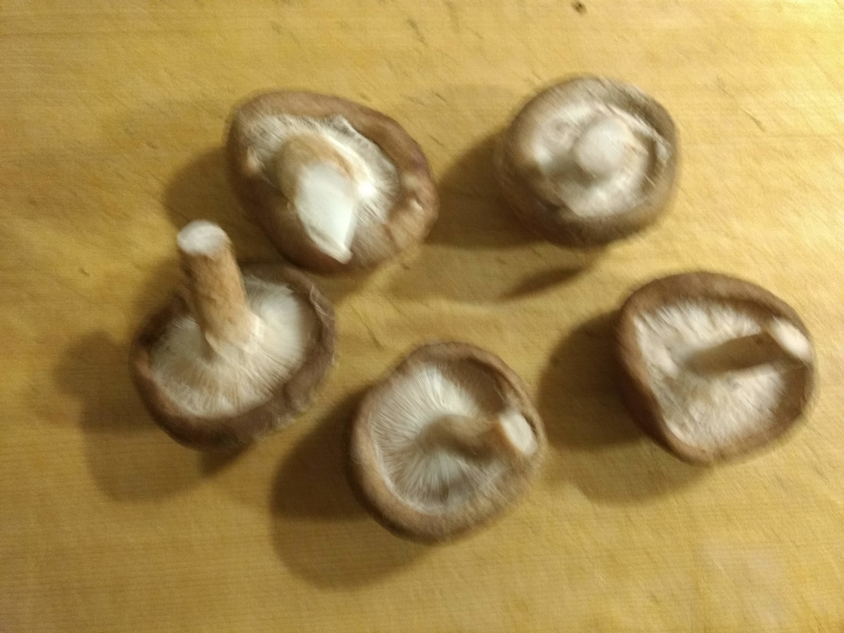f:id:cocolog-nifty:20190614114438j:plain