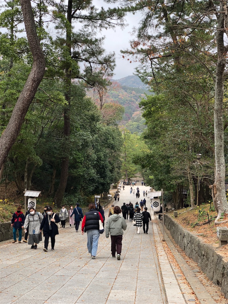 f:id:cocomico_shokuyojo:20221123090910j:image f:id:cocomico_shokuyojo:20221123090910j:image