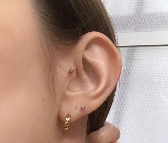 f:id:coconecosan:20191115095806j:plain f:id:coconecosan:20191115095806j:plain