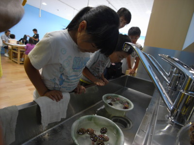 f:id:coconico:20090705172125j:image f:id:coconico:20090705172125j:image