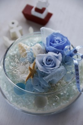 f:id:coconico:20110502102028j:image