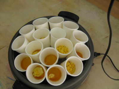 f:id:coconico:20111123124313j:image