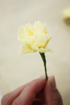 f:id:coconico:20120517134210j:image