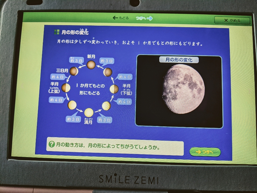 f:id:coconokurashi:20200519100249j:plain f:id:coconokurashi:20200519100249j:plain