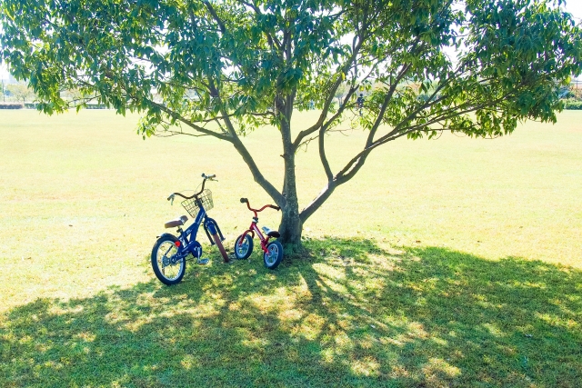 公園の木の下に２台の子どもの自転車