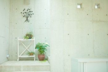 白くシンプルな明るい部屋にいくつかの観葉植物