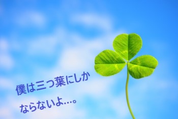 青空に三つ葉のクローバー