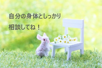 草原に置かれた白い椅子とうさぎのミニチュア