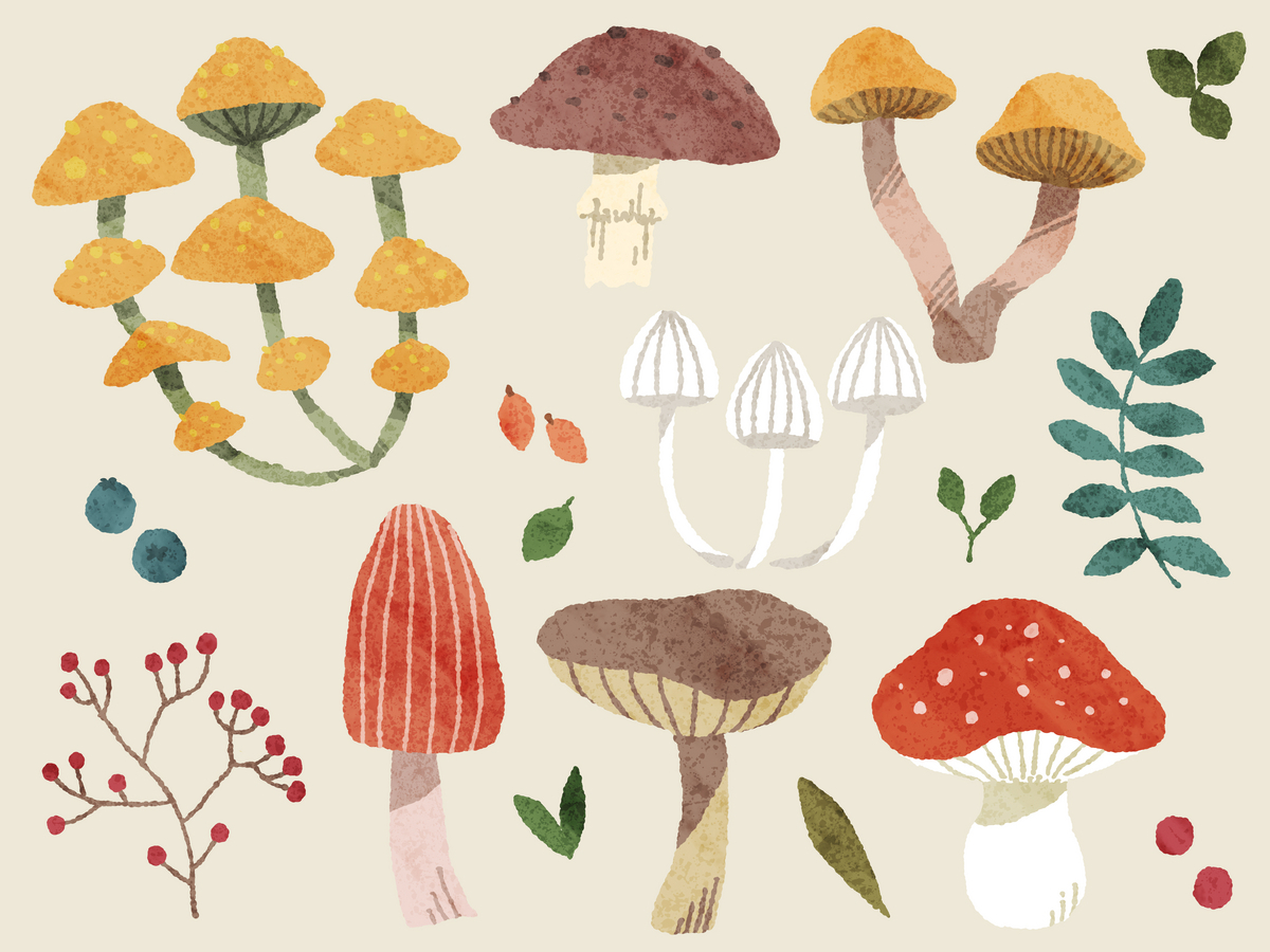 きのこのイラスト