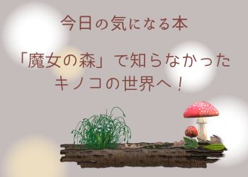 グレーの背景にきのこ