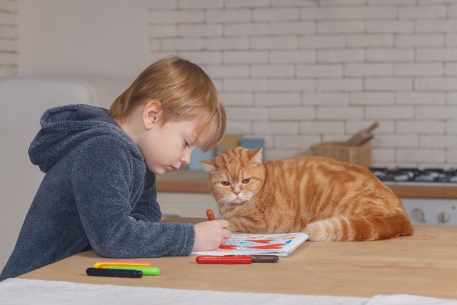 お絵描きをする子どもと猫