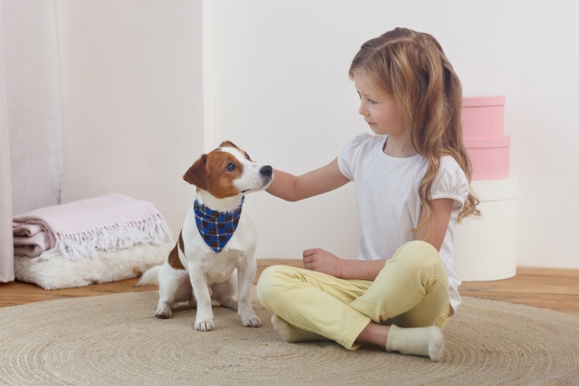 犬をなでる女の子