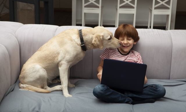 犬に舐められる男の子