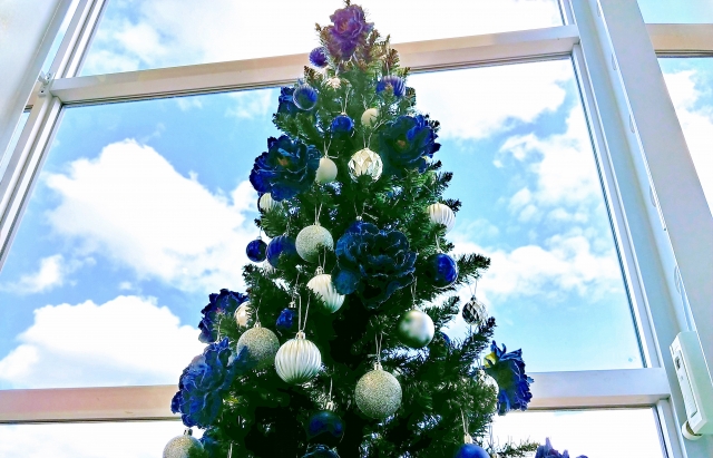 クリスマスツリー
