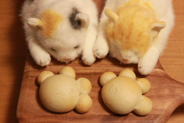 ネコとパン