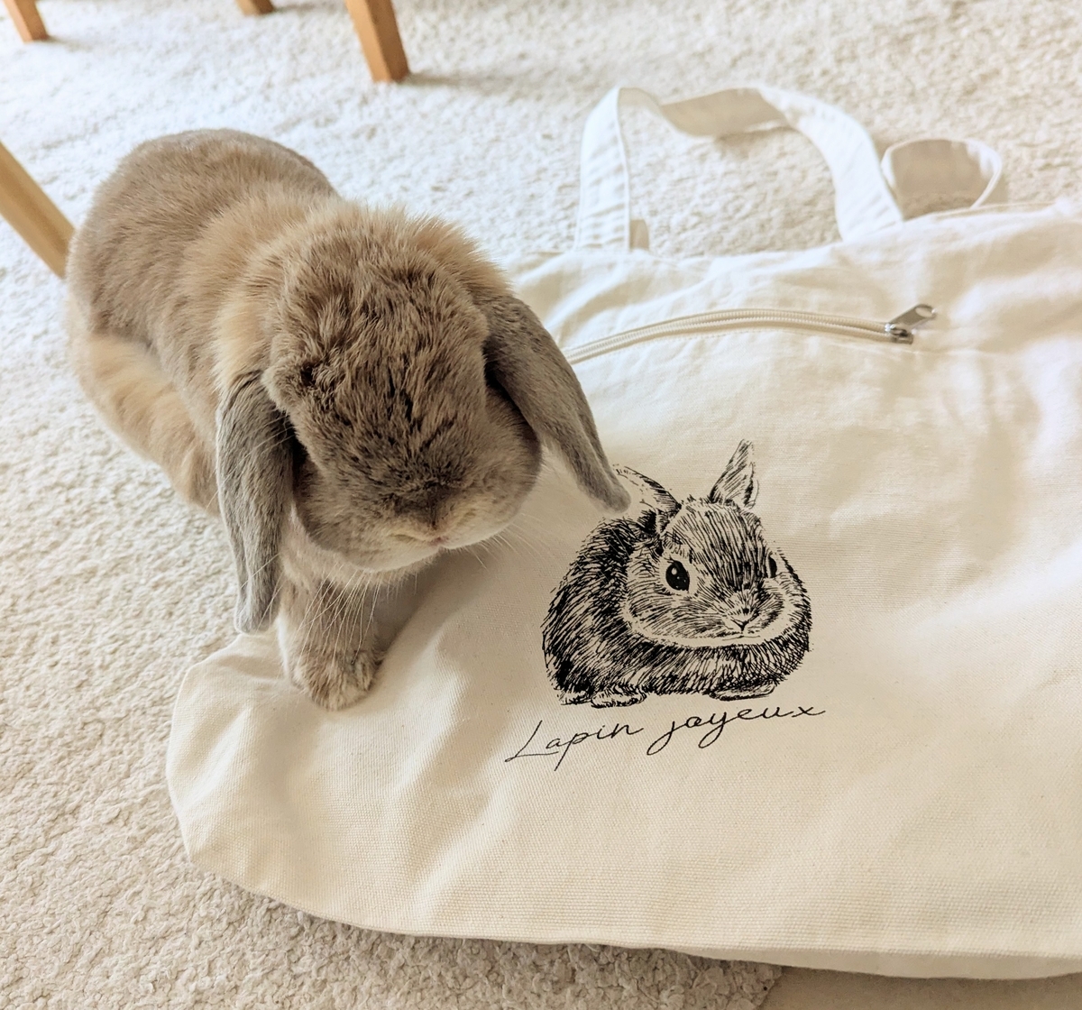うさぎと布バッグ