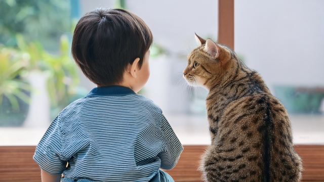 ネコとこども