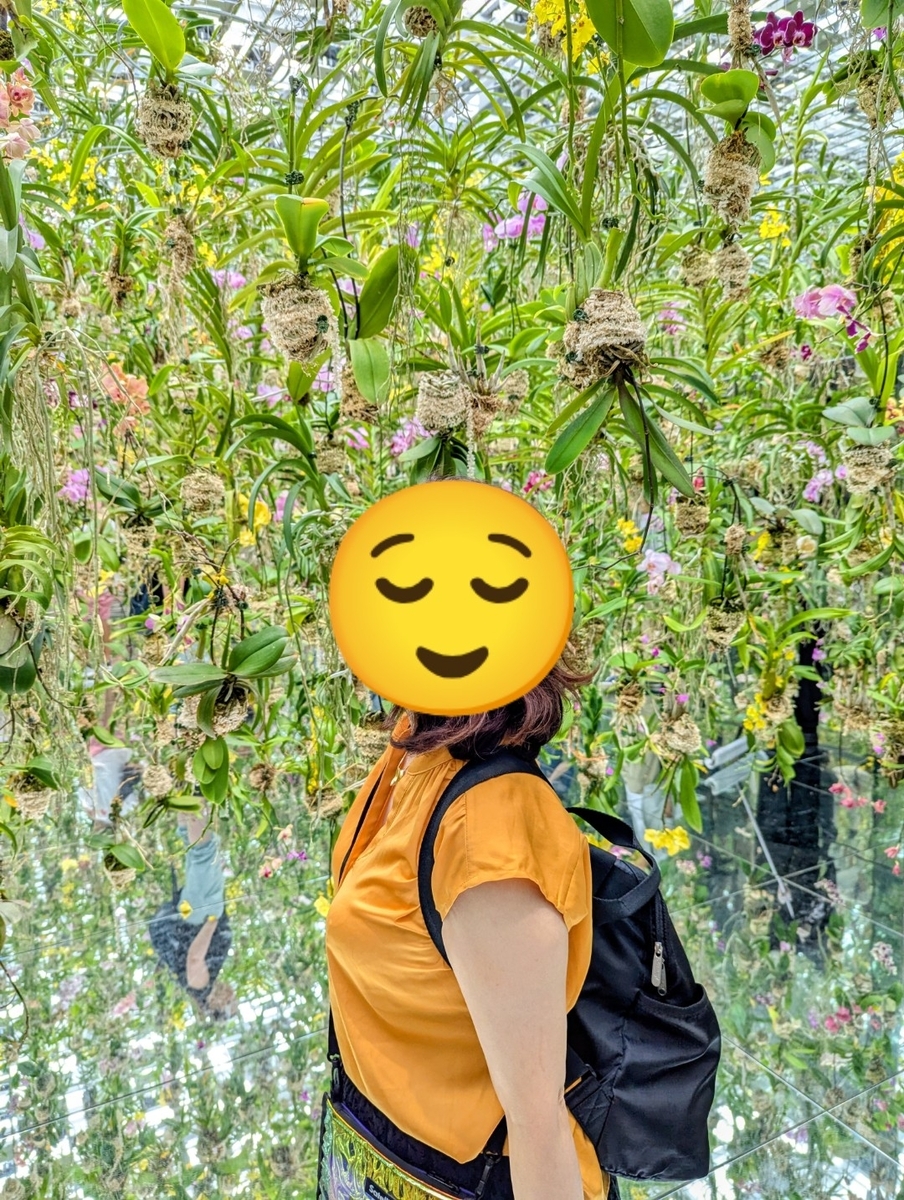 ランの花に埋もれる