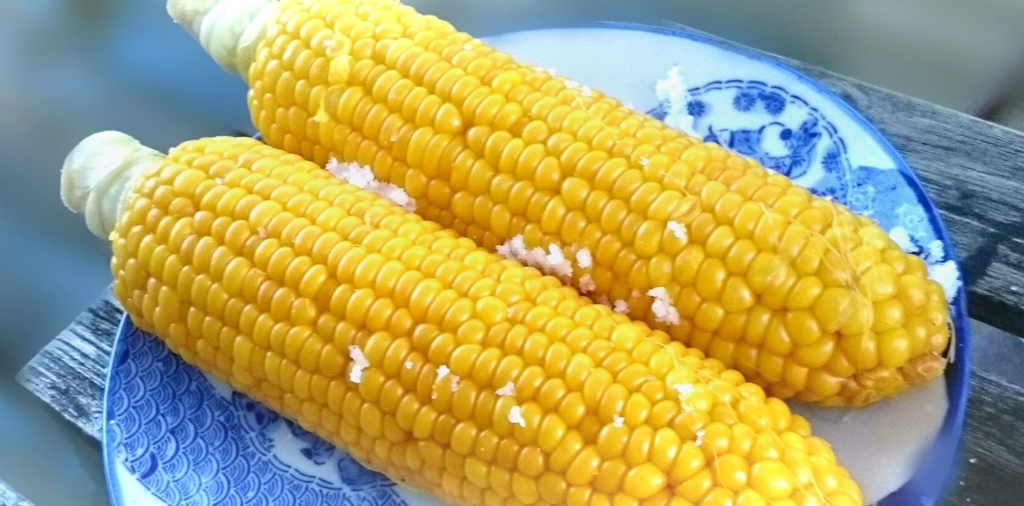 f:id:coconoo:20160809091614j:plain