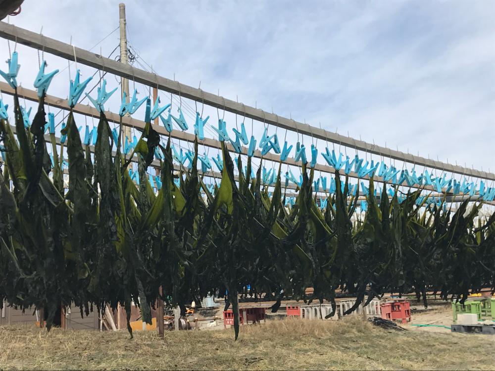 たい焼きなみへい〜OKASHI 0467〜由比ケ浜散歩 たい焼きなみへい〜OKASHI 0467〜由比ケ浜散歩