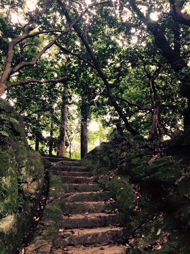 910散歩鷹取山公園 東逗子神武寺薬師如来