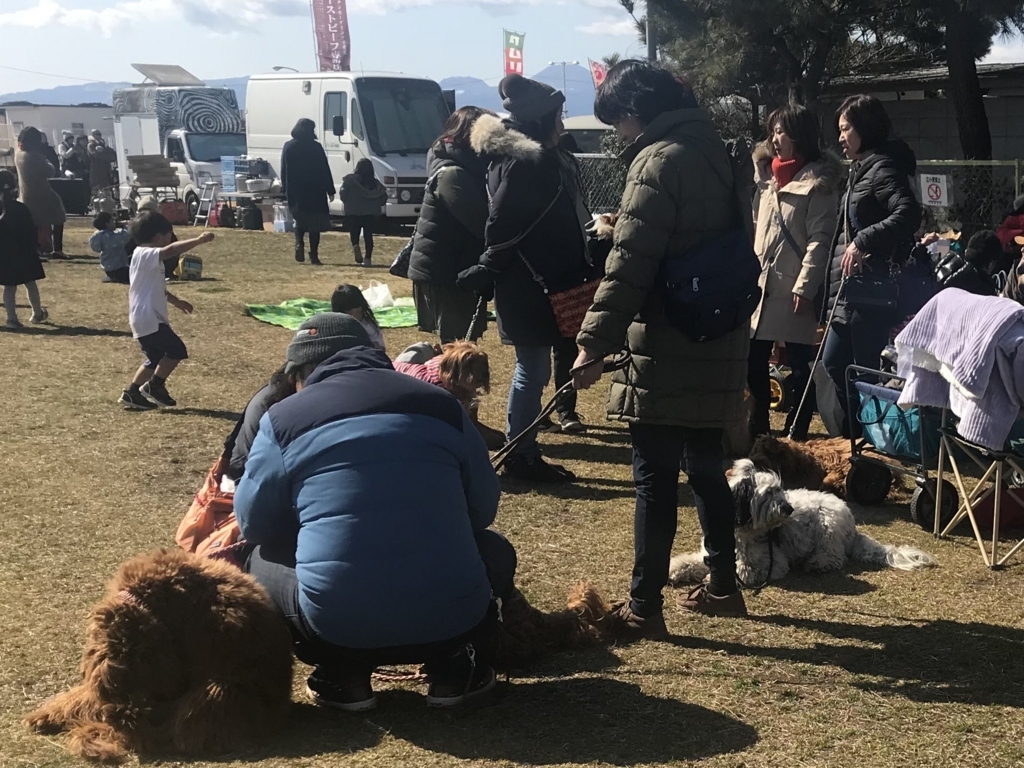 大磯イチここのつブログ 大磯イチここのつブログ