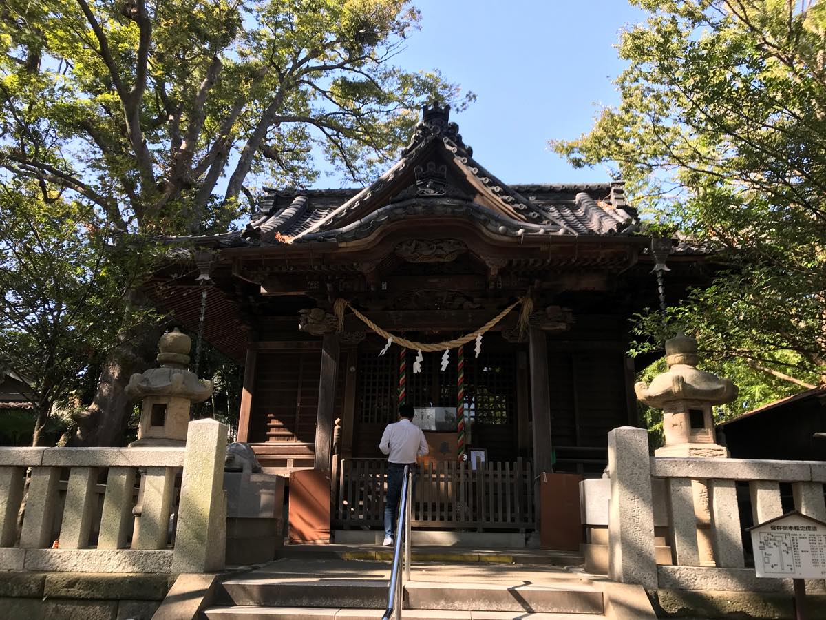 ここのつブログ 逗子亀岡八幡宮