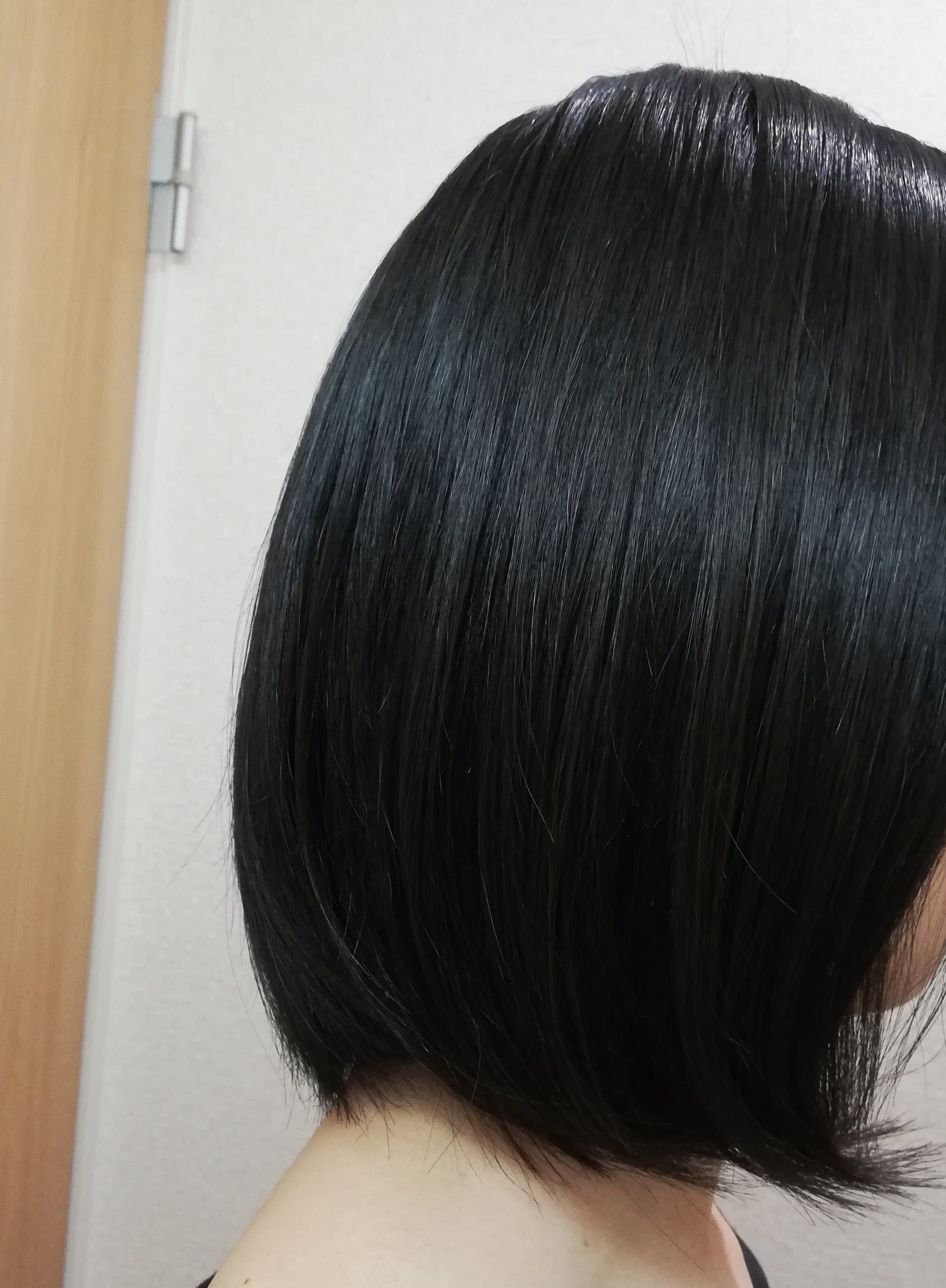 f:id:coconoyume:20200216213034j:image
