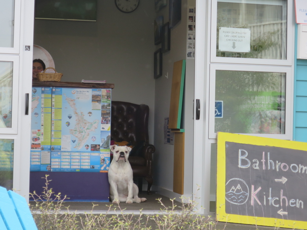 f:id:coconut0616:20170726051209j:plain