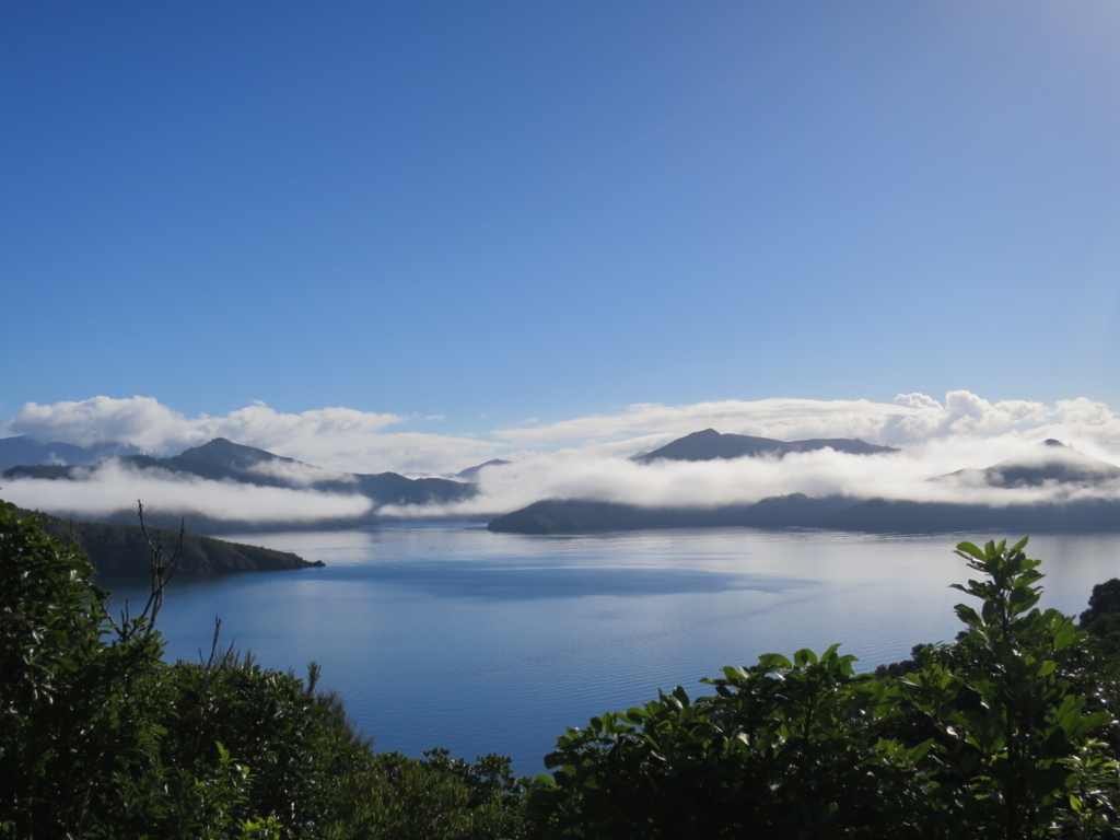 f:id:coconut0616:20170805094635j:plain