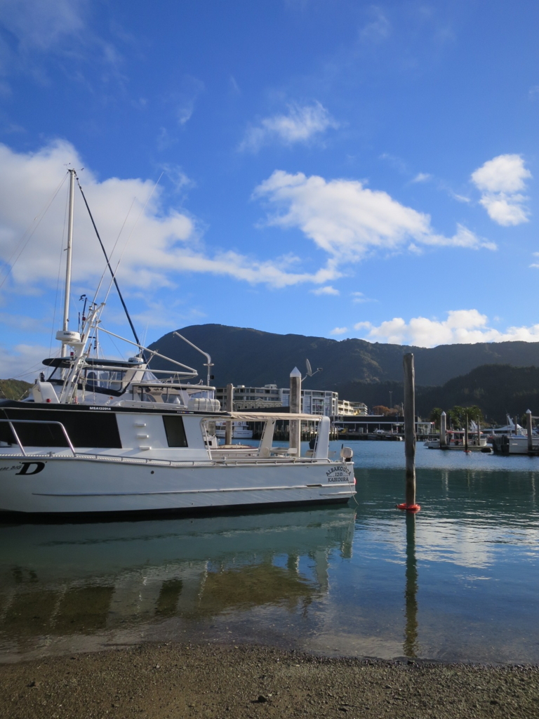 f:id:coconut0616:20170805095355j:plain