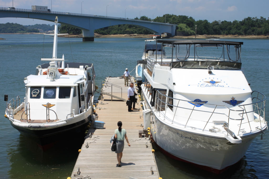 f:id:coconutsable:20170119214403j:plain