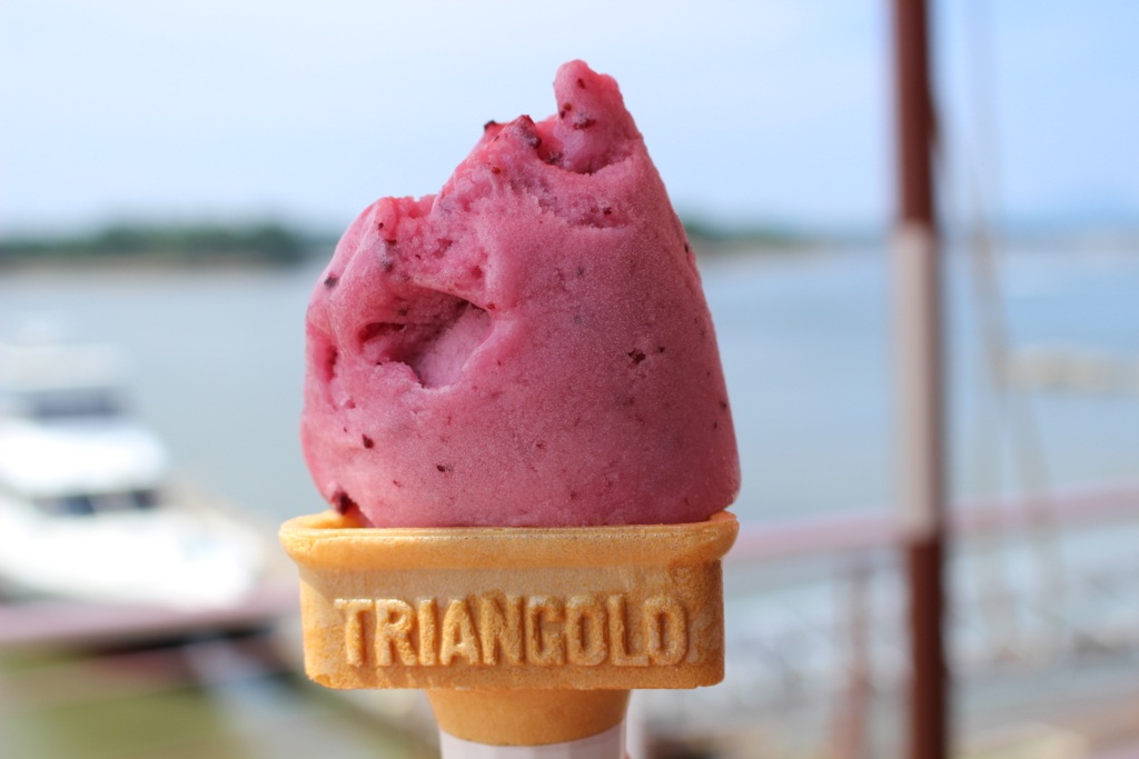 f:id:coconutsable:20170119221821j:plain