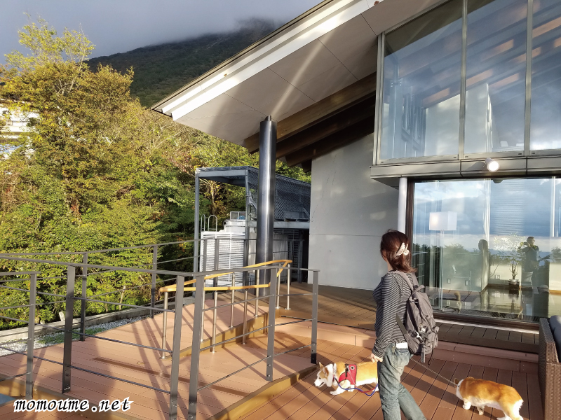 犬と一緒に泊まれるホテル 鳥取県大山の狗賓に行きました（1）（感想ブログ） 犬と旅するモモウメ日記
