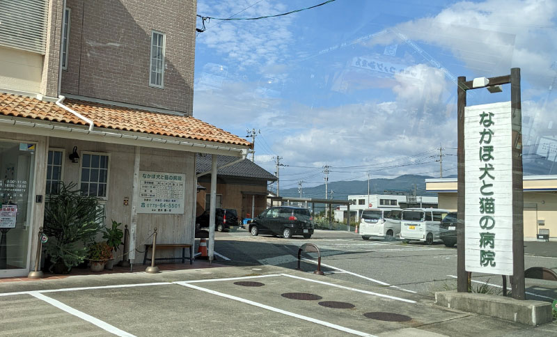なかほ犬と猫の病院
