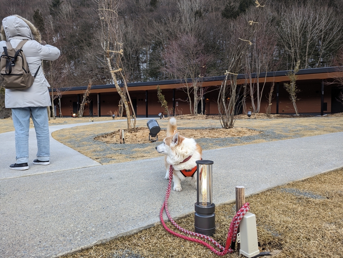 狗賓高山　お庭と建物