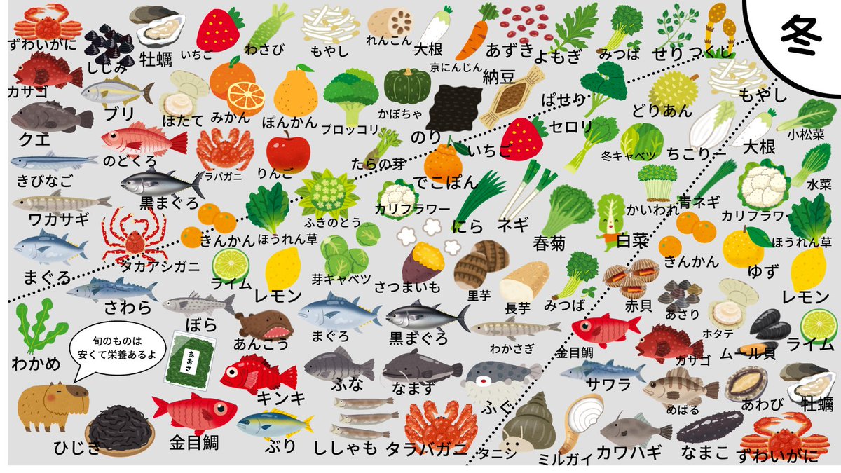 f:id:cocopapa7878:20211207112553j:plain